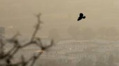 Alerta Ambiental para 17 comunas de O'Higgins este domingo