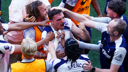   Tottenham ganó y concretó su permanencia en la Premier League 
