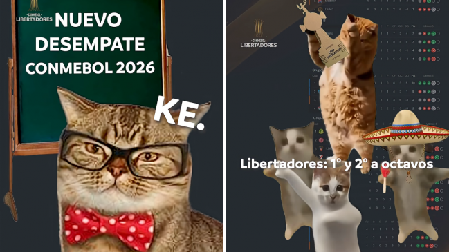 [VIDEO] Conmebol explicó con memes de gatos los desempates en Libertadores y Sudamericana