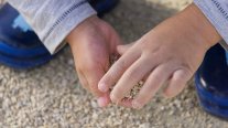 Fundación Amparo y Justicia: Los homicidios de niños han aumentado mucho, pero son invisibilizados