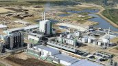 Qué es Forestal Arauco: la historia de una empresa que crece desde Chile para el mundo