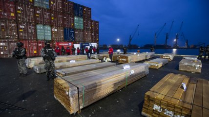 Incautan más de 100 toneladas de droga impregnada en madera destinada al extranjero