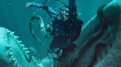 Sobrevivir a ser tragado vivo por una ballena en el tráiler de "Whalefall"