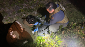 Puerto Montt: Carabineros recuperó subametralladora UZI que se le había perdido el jueves