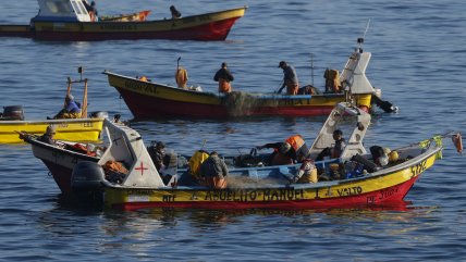   Contraloría invalidó medida de Boric que ampliaba el registro de pesca 