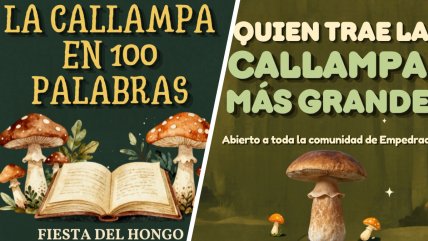   Empedrado se hace viral por sus 