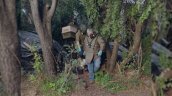 Curacautín: Carabineros rescató a 19 mascotas con signos de desnutrición y detuvo a su dueño