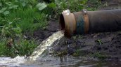 Contraloría detectó vertido de aguas servidas sin tratar en el río Palena