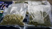 La ONU afirma que la legalización de la marihuana aumenta su consumo