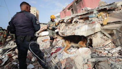 Se elevan a 1.430 las personas fallecidas por el doble terremoto en Venezuela