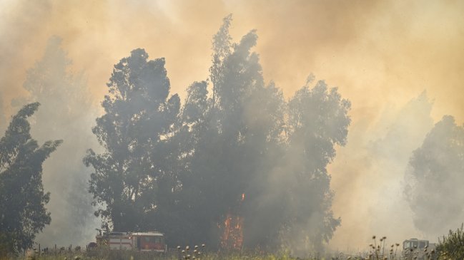 Alerta amarilla en Pichilemu por avance de incendio forestal