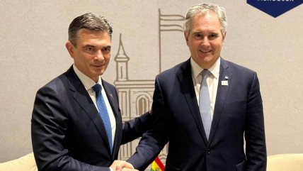 Argentina de Milei le ofreció a la Bolivia de Paz su "apoyo incondicional"