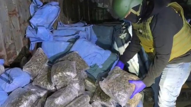 Carabineros incautó más de 2,7 toneladas de marihuana en 48 horas en la Región de Antofagasta
