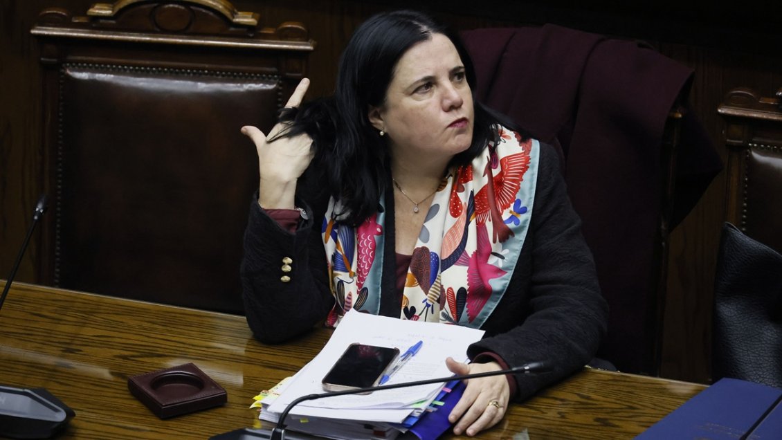 Steinert pidió dejar sin efecto fallo de la Contraloría en su contra