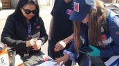 Salud confirmó nuevo foco del mosquito Aedes Aegypti en Antofagasta