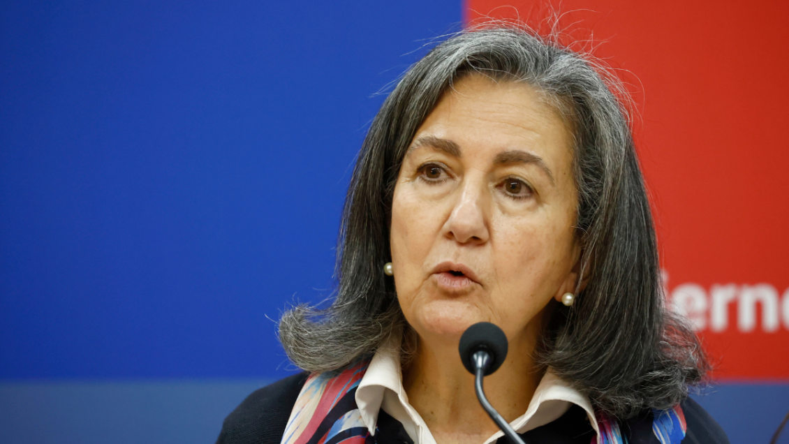 Ministra Chomali viaja a Antofagasta ante hallazgo de mosquito transmisor del dengue
