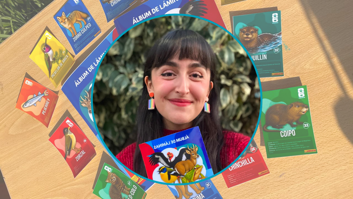 Profesora creó álbum de láminas de la fauna nativa chilena