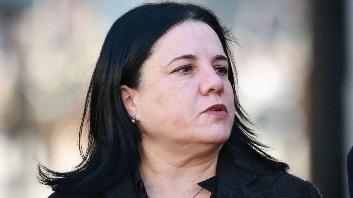 Sin quorum: Cámara rechazó crear comisión investigadora a Steinert