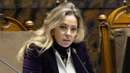 PNL pide apoyo del Gobierno a proyecto que desalienta el aborto: 