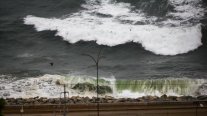 Caída de árboles y fuertes vientos marcan el inicio del sistema frontal en Valparaíso