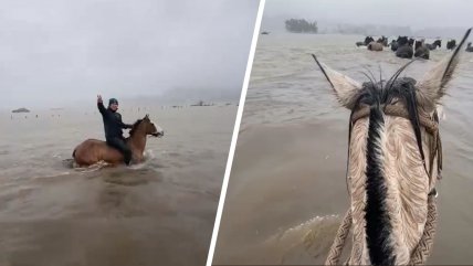 Crianceros evacuaron sus caballos ante crecida de un río en Arauco