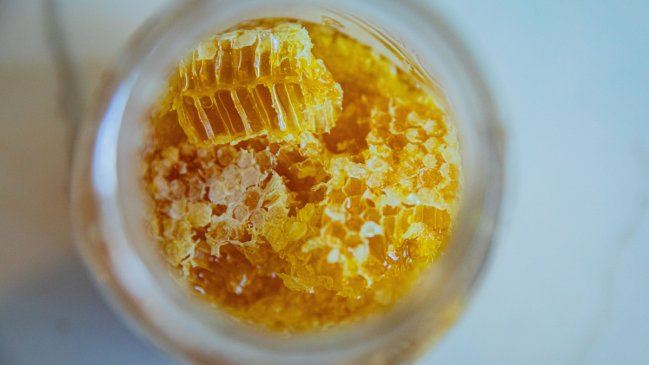 Seeking to create the world's next great natural antibiotic with Chilean honey