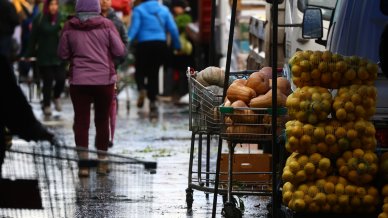 SNA descarta por ahora alzas generalizadas en productos agrícolas tras el sistema frontal