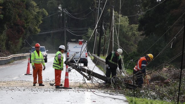 Prolonged Power Outages Hit Dairy and Agricultural Production in Chile's La Araucanía