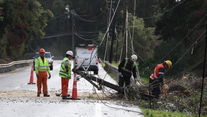 Prolongados cortes de energía afectan la producción lechera y agrícola en La Araucanía