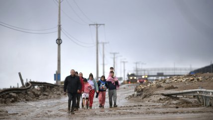   Creciendo Juntos: La protección de niños, niñas y adolescentes en emergencias 