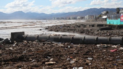 Temporal arrastró toneladas de basura hacia playas de La Serena