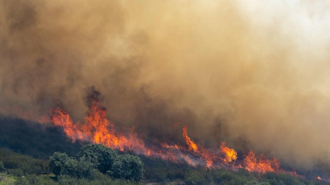 Spain Wildfires Force 73,000 Evacuations, Burn 25,000 Hectares