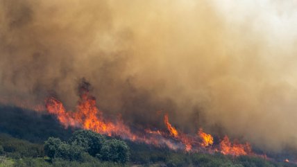 Incendios forestales en España: 73.000 evacuados y 25.000 hectáreas quemadas