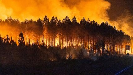 Francia sufre por incendios forestales: 98 mil hectáreas destruidas y "tormenta de fuego"
