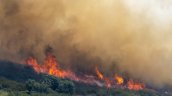 Incendios forestales en España: 73.000 evacuados y 25.000 hectáreas quemadas