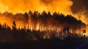 Francia sufre por incendios forestales: 98 mil hectáreas destruidas y 