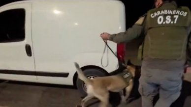 Carabineros incautó más de 271 kilos de droga en dos procedimientos en El Loa