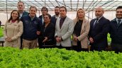 Agricultores hidropónicos de Altos La Portada en Antofagasta se consolidan como proveedores del Estado