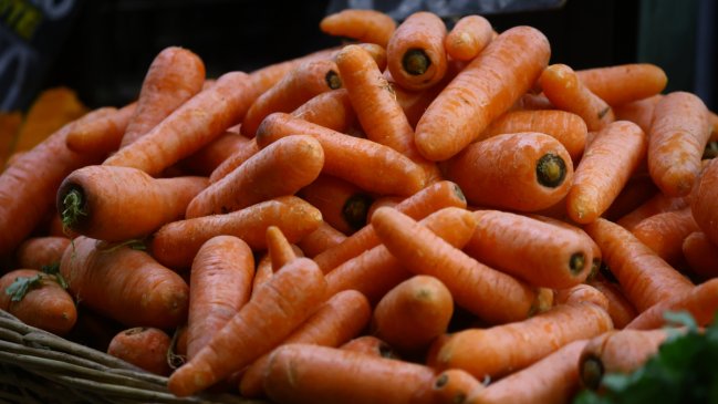 Southern storm's damage to cause imminent rise in vegetable, milk, and meat prices