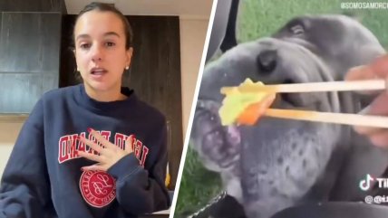   Marca cortó relaciones con influencer Josefa Sáez tras dar wasabi a su perro 