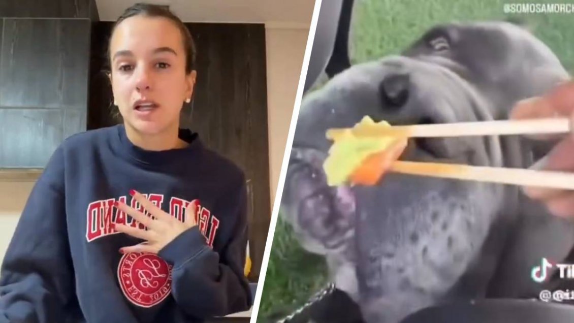 Marca cortó relaciones con influencer Josefa Sáez tras dar wasabi a su perro
