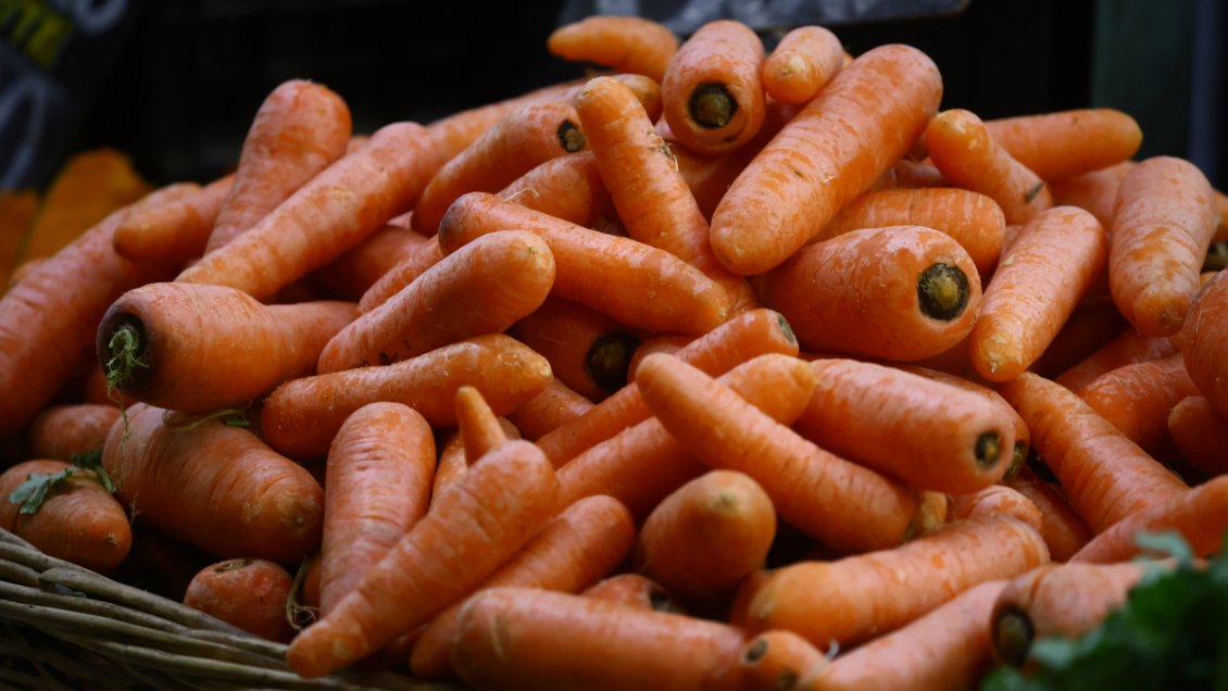 Advierten inminente alza en precio de hortalizas, leche y carne tras estragos del temporal en el sur