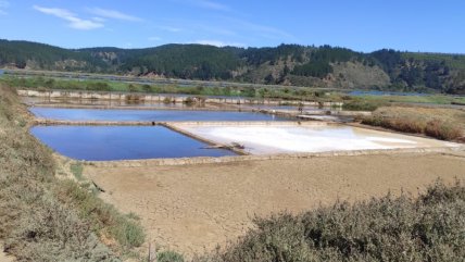   Salineros de Cahuil lamentan millonarias pérdidas por falta de producción 