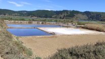 Salineros de Cahuil lamentan millonarias pérdidas por falta de producción