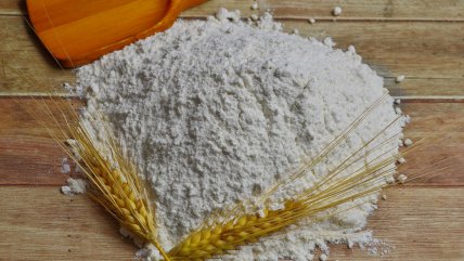   Chile es el primer país de Latinoamérica en fortalecer la leche y la harina con vitamina D 