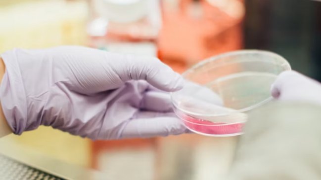 AI Creates Functional Bacterial Genomes From Scratch, Offers Hope Against Superbugs