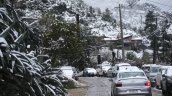 Provincia de Palena bajo alerta amarilla por temporal de nieve y viento con cortes de luz