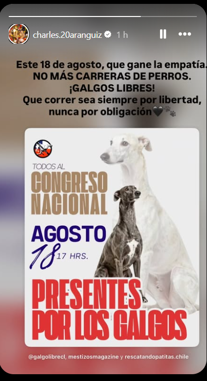 Imagen foto_00000002
