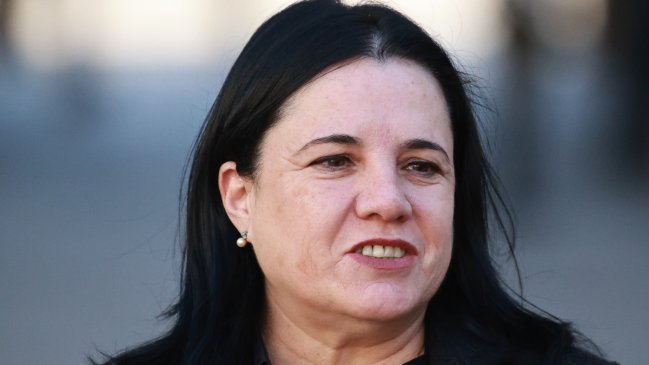 Chilean Lower House Forms Investigative Committee Over Ex-Minister Steinert's PDI Interactions