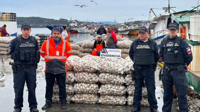 1,500 kilos of red tide clams seized in Quellón